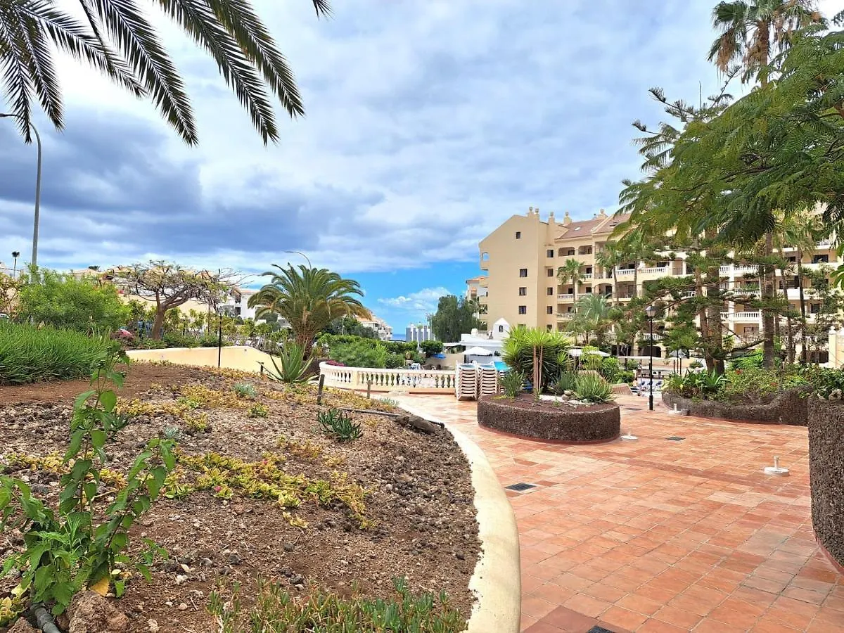 Apartamento Bonito Estudio En Los Cristianos En Complejo Con Piscina Y Cerca De Playa España