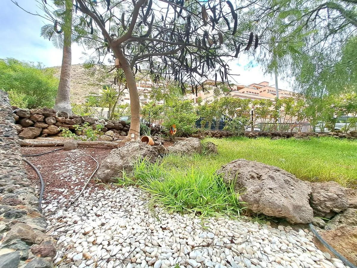 Bonito Estudio En Los Cristianos En Complejo Con Piscina Y Cerca De Playa Apartamento