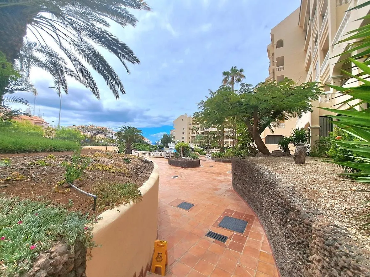Bonito Estudio En Los Cristianos En Complejo Con Piscina Y Cerca De Playa 0*, Лос Кристианос Испания