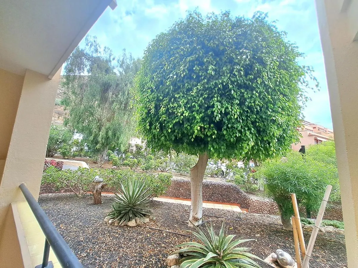 Bonito Estudio En Los Cristianos En Complejo Con Piscina Y Cerca De Playa ספרד